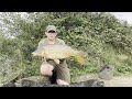 96hrs Carp Fishing I Ashlyns Farm Fishery- Ft  Fishing For A Bite