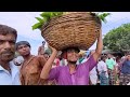 কোটি টাকার জংলী ফল | Agro News Bangla