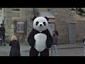 Real Giant Panda on the streets of the city found on Google Maps 🌎