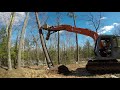 Cutting a tree out of the road