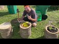 🌴 How to Make PALM TREE Log Planters For Your Garden 🪵 // EASY DIY