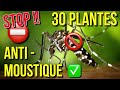 30 PLANTES ANTI-MOUSTIQUES très décoratives ! Certaines sont aromatiques ou médicinales ! #pratique