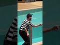 Smooth Operator | Famous Seaworld Mime | Rob the mime