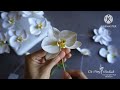 LÀM HOA LAN HỒ ĐIỆP TỪ GIẤY/ How to make Phalaenopsis orchids from paper/ oaihuong handmade