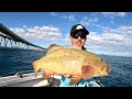 INSANE Jetty Fishing! (Jigging, Topwater & Vibing!)