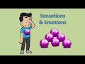 Emotions & Physical Sensations - DBT Emotion Regulation