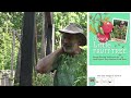 Planting a Pear Tree Guild | Growing Food Naturally and Sustainably