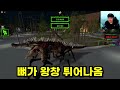 주코시스 감염된 동물 전부 찾았더니?! / 시크릿 코코끼리 발견?? [Zoochosis]