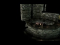 Skyrim Glitch: Textureless world