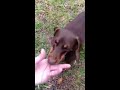 Lizzy and Mommy playing catch