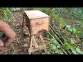 Cara Menangkap Lebah Anti Gagal