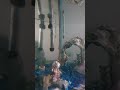 ASMR fish tank refill relaxing water