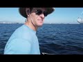 Sailing on SD bay drone footage.