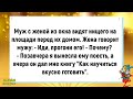 💎Я конечно тоже Придурок, но не Настолько!👍Весёлый Сборник Анекдотов!🤣Анекдоты!Анекдоты Смешные!🤫