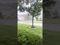 Relaxing rain storm in New Jersey.