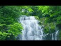 Sleep to the Soothing Sounds of a Powerful Waterfall - Relaxing White Noise for Deeper Sleep 2 Hours
