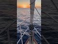 Sunset sailing in Fiji with dolphins escorting