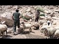 Building a shelter to help nomadic shepherds in very hot weather