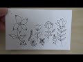 Simple Foliage Doodle Ideas for Beginners