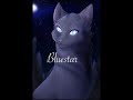 My warrior cat end cat edit