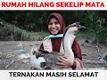 RUMAH HILANG SEKELIP MATA!  BANJIR DI RAUB PAHANG | USTAZAH ASMA' HARUN 2021