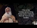 ₷ex is The Basics Of Life! | Monks | Occult | Brahmacharya | Sadhguru | Adiyogi