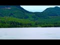 Alaska Cruise Window on STUNNING NATURE - No mid ADs! - Cinematic Ambience Relaxation Film